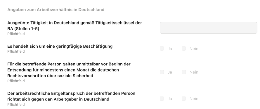 Personio-Payroll_Angaben-zum-Arbeitsverhaltnis_1_de.png