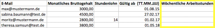 Import-Salary-Weeklyhours1_de.png